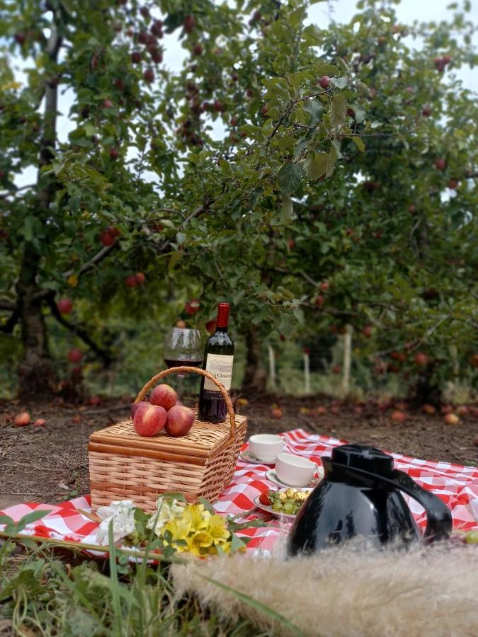 Chales Surucua Urubici Dış mekan fotoğraf
